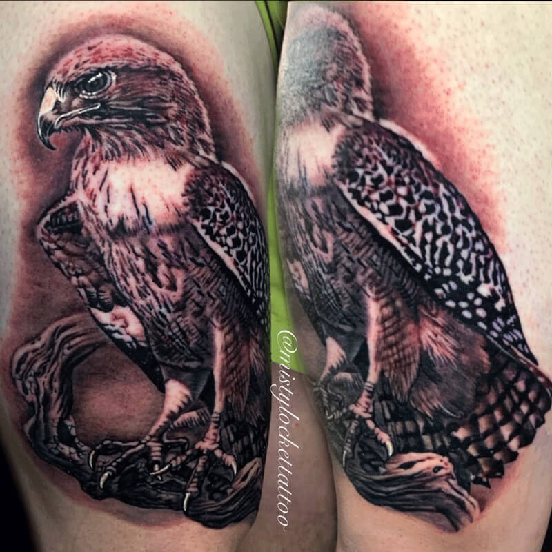 Hawk tattoo black and grey