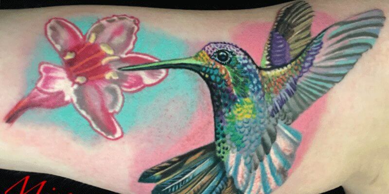 Color hummingbird tattoo on arm