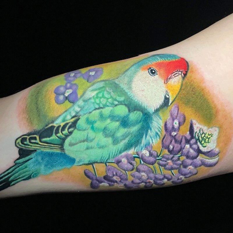 Color parrot tattoo